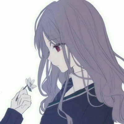 普京访华安排已敲定